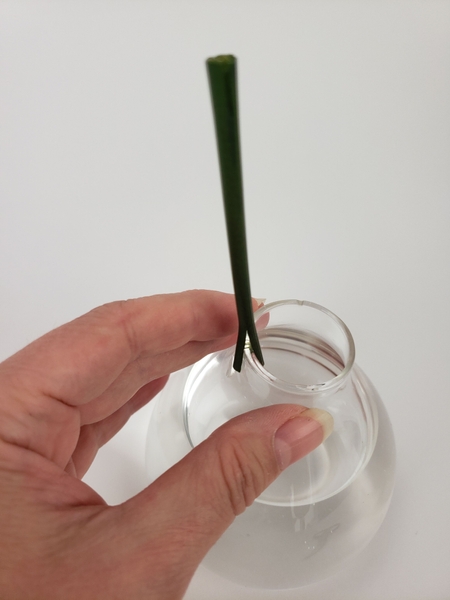 And slip it over the rim of a container And slip it over the rim of a container