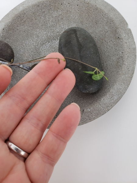 Carefully resting the delicate ends on the pebble