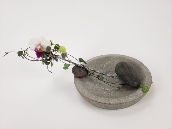 Creating a flower arrangement from a single flower Creating a flower arrangement from a single flower