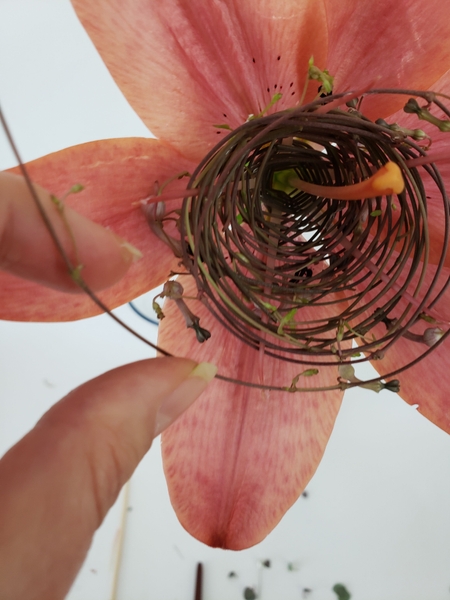 Every time you weave a circle make it open up a little wider Every time you weave a circle make it open up a little wider