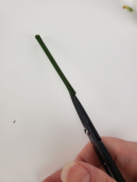 Flip the twig over and cut another slit into the other side. Flip the twig over and cut another slit into the other side.