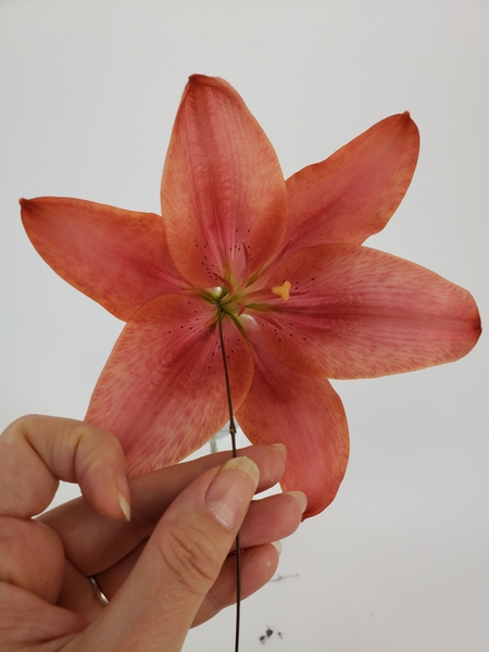 Glue the vine end deep into the lily flower Glue the vine end deep into the lily flower