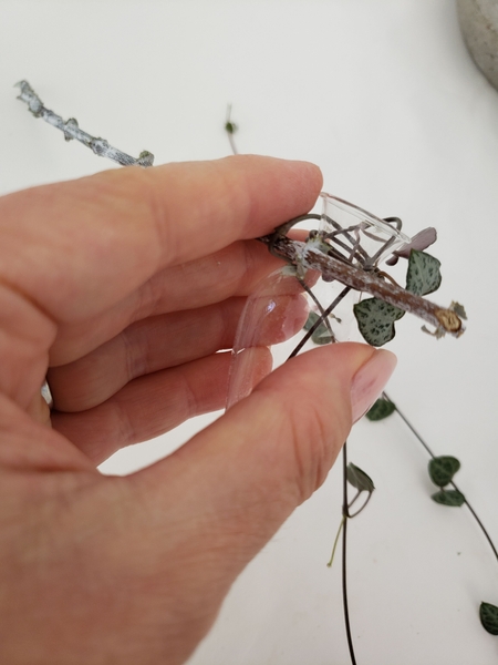 Hook the vine over a twig and wrap it to secure the vase to the twig with the vine Hook the vine over a twig and wrap it to secure the vase to the twig with the vine