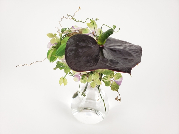 How to dry flowers How to dry flowers