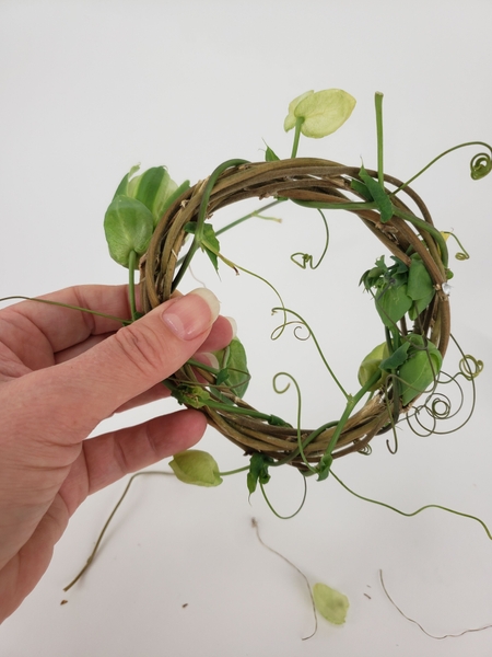 Keep winding the vine. Keep winding the vine.