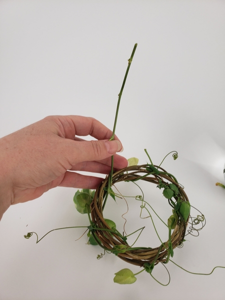 Leaving just enough stem end to tuck into the vase so that the vine remains hydrated