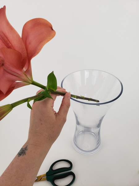 Place the stem in a water filled vase so that it remains hydrated Place the stem in a water filled vase so that it remains hydrated