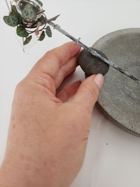 Prop the twig up with another pebble on the edge of the shallow container Prop the twig up with another pebble on the edge of the shallow container