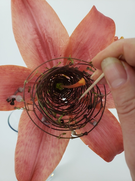 Reposition the vine so that it is spaced out all the way up the filament Reposition the vine so that it is spaced out all the way up the filament