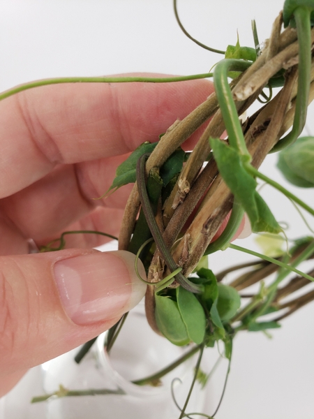 Set the vine over the container Set the vine over the container