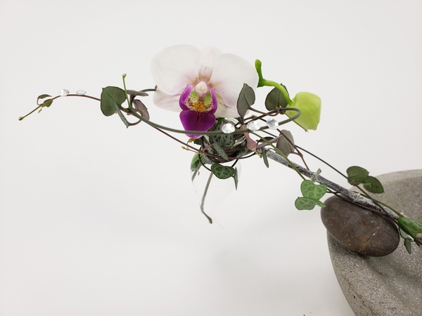 Using plants from your garden to craft floral designs Using plants from your garden to craft floral designs
