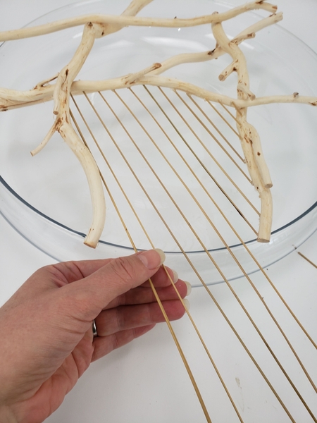 For my design I let the reeds extend beyond the edge of the container For my design I let the reeds extend beyond the edge of the container
