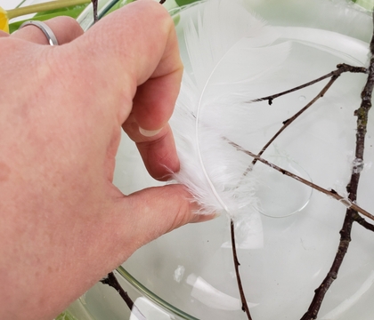 Curve a feather Curve a feather