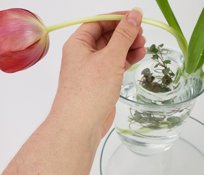 Float a swirling vine nest in a small vase to help keep your flowers in place Float a swirling vine nest in a small vase to help keep your flowers in place