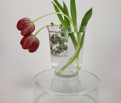 My  valenVine My  valenVine