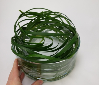 A Double vase, Sticky tape, Reflexed AND Woven Nestled Grass and Tulip Whirl A Double vase, Sticky tape, Reflexed AND Woven Nestled Grass and Tulip Whirl