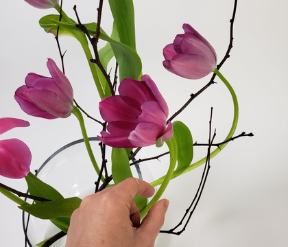 A wild "found it this way" thorn and overgrown tulip design with a ribbon tangle instead of a bow. A wild "found it this way" thorn and overgrown tulip design with a ribbon tangle instead of a bow.