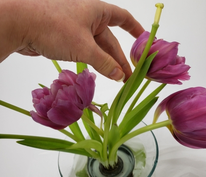 Spiked Tulip Fan Spiked Tulip Fan