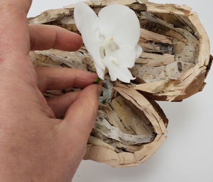 Craft a birch bark bud vase topper for a openhearted Valentine's display Craft a birch bark bud vase topper for a openhearted Valentine's display
