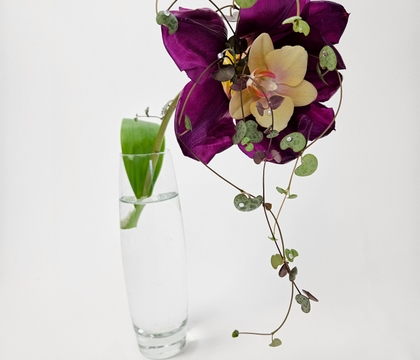 A Buzzin’ A Buzzin’